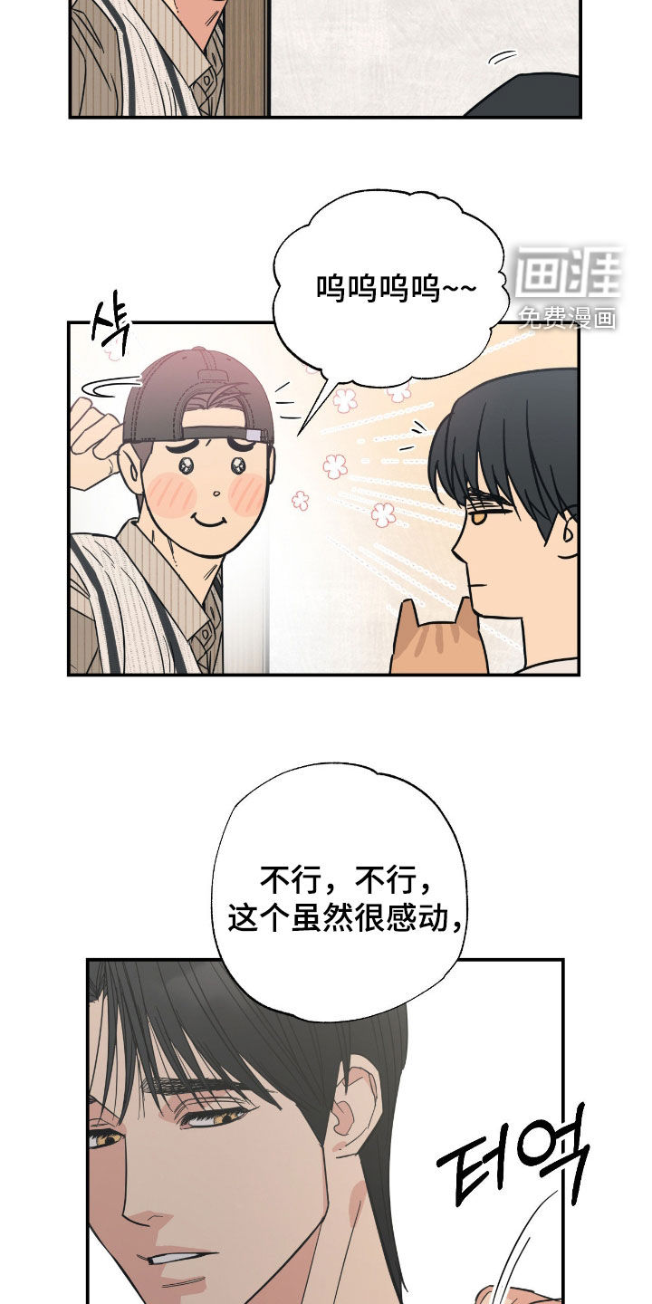 猫大爷和我漫画-图14