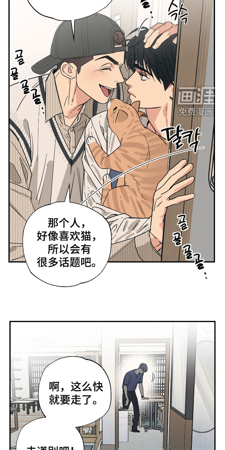 猫大爷和我漫画-图17