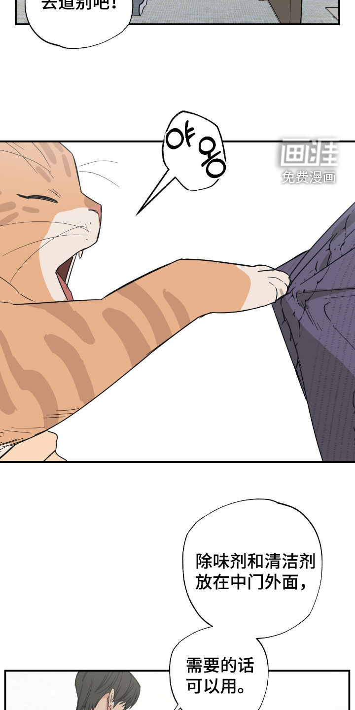 猫大爷和我漫画-图18