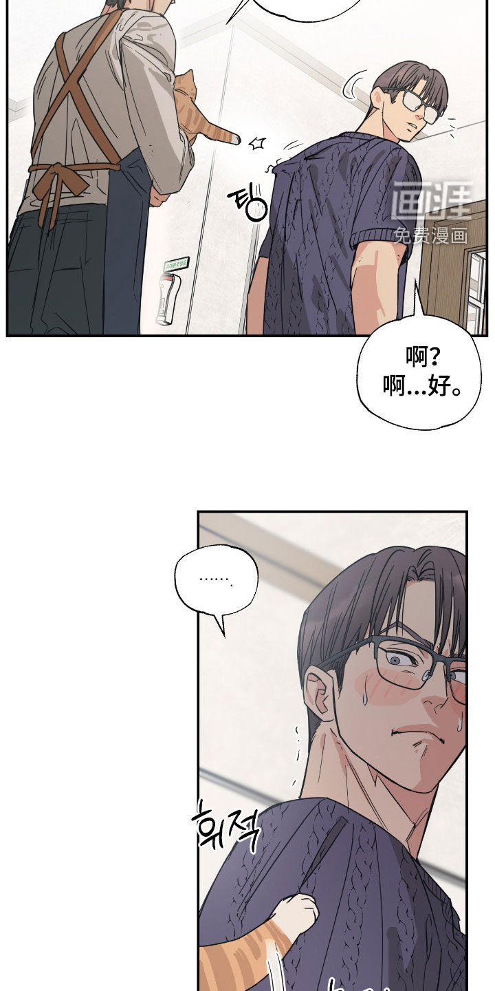 猫大爷和我漫画-图19
