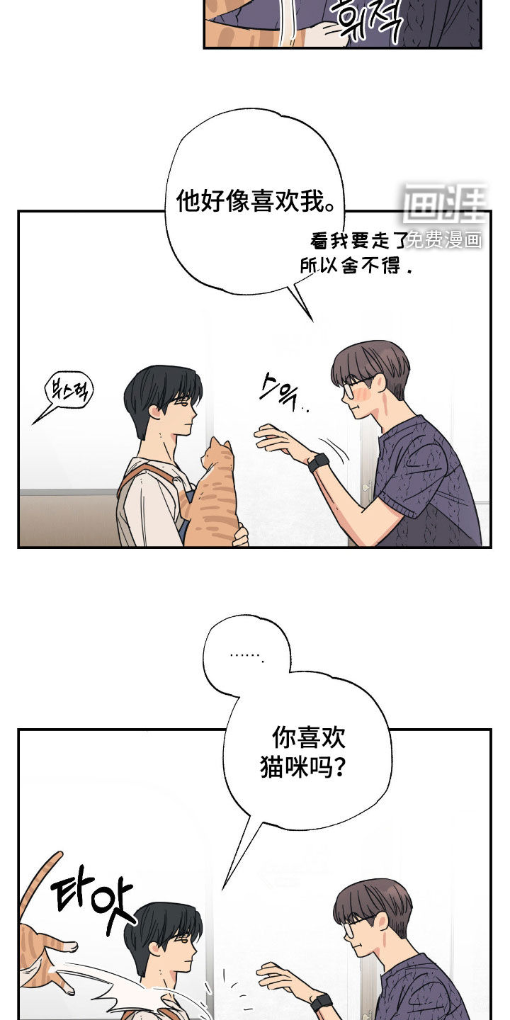 猫大爷和我漫画-图20