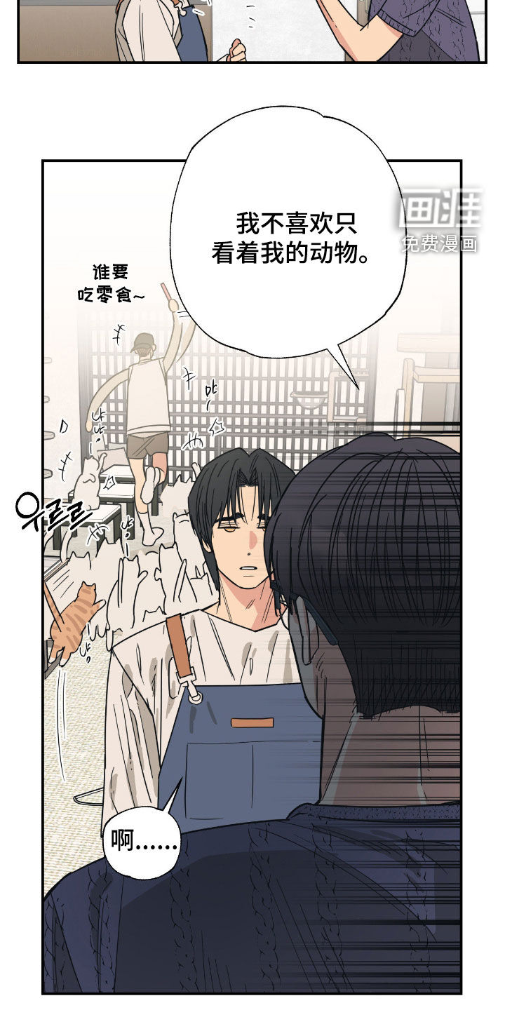 猫大爷和我漫画-图21