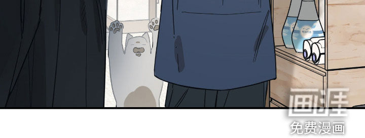 猫大爷和我漫画-图25