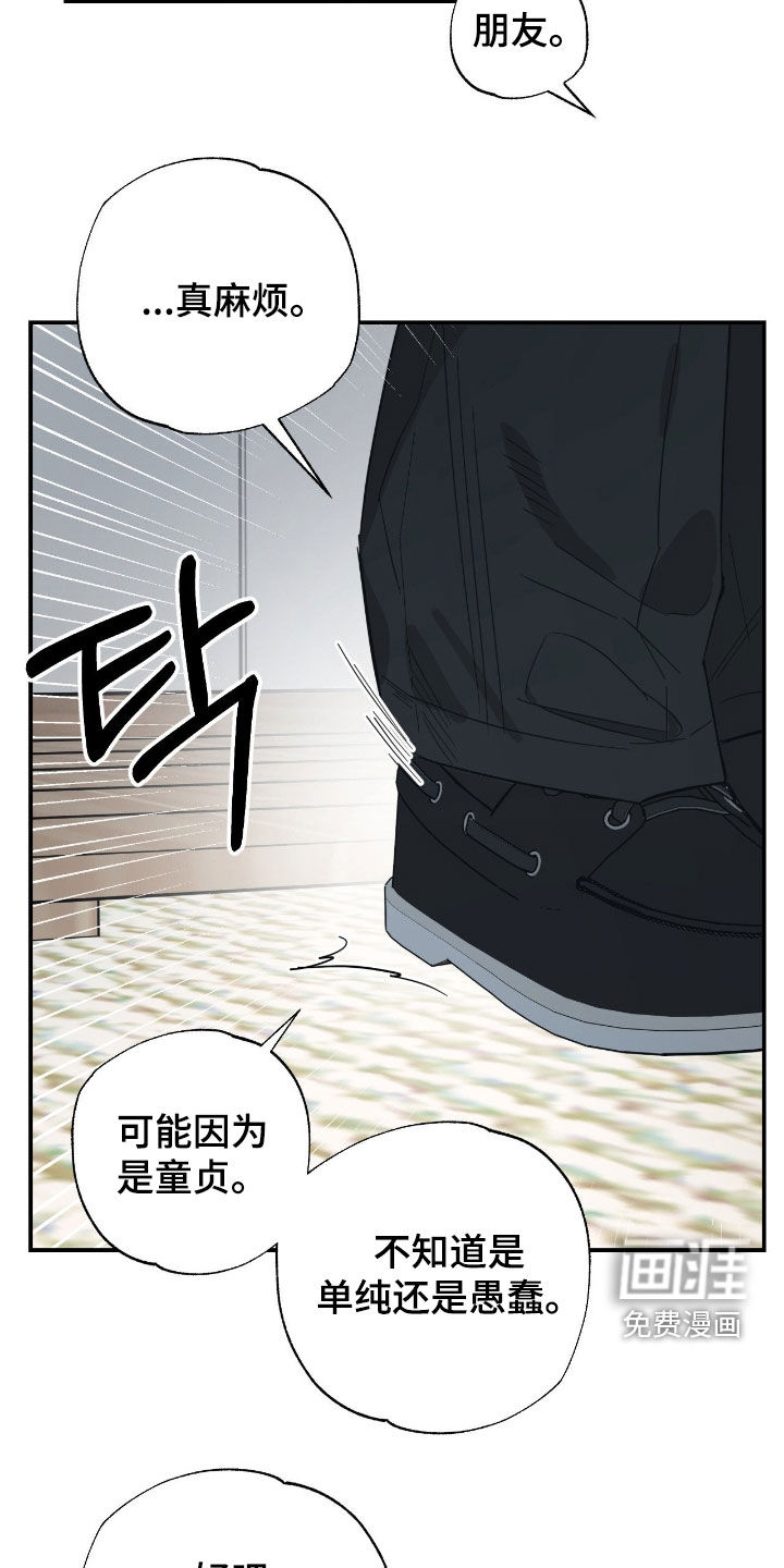 猫大爷和我漫画-图4