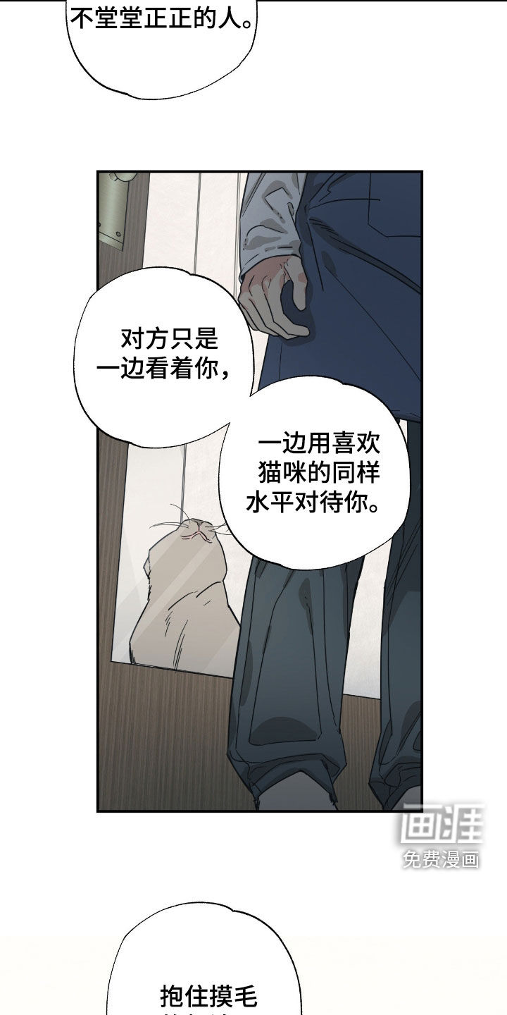 猫大爷和我漫画-图6