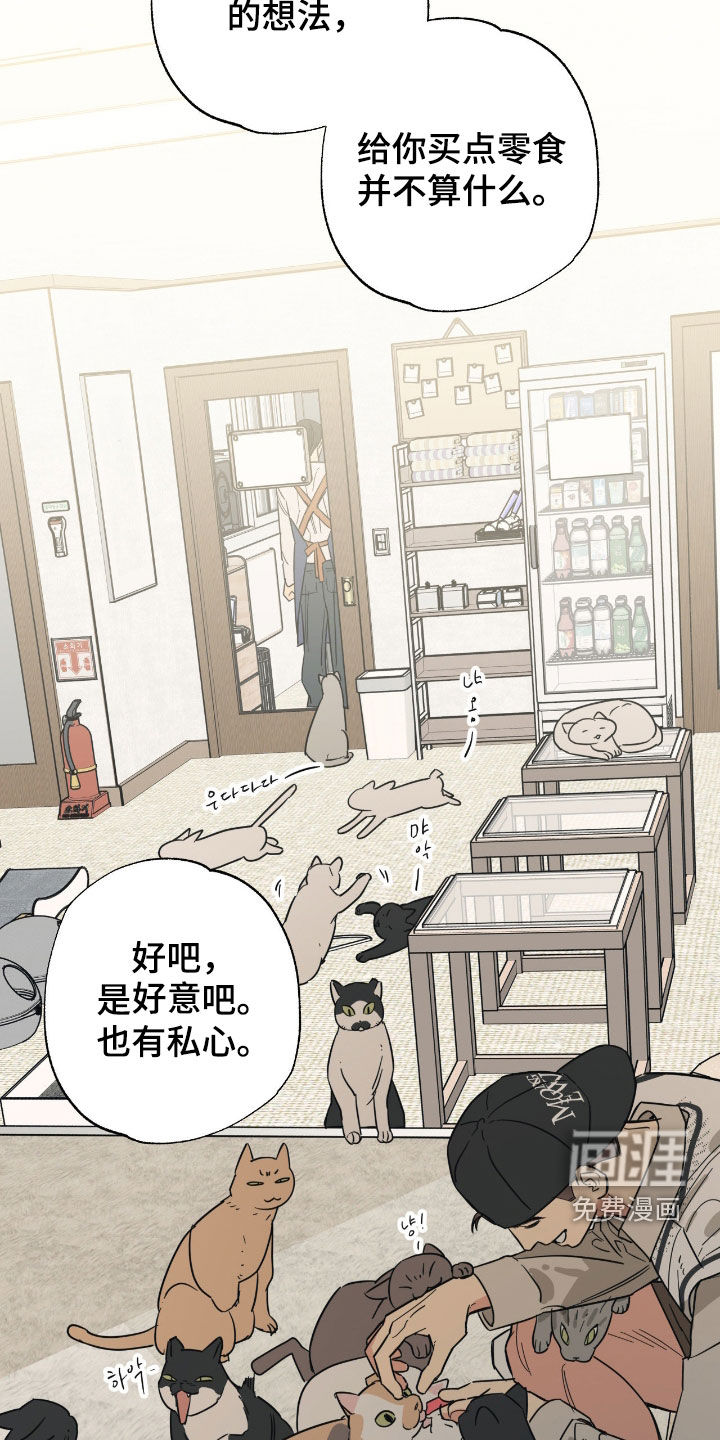 猫大爷和我漫画-图7
