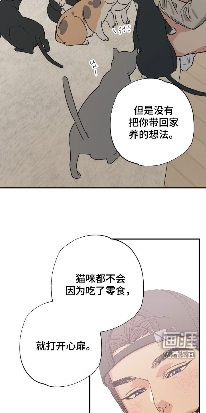 猫大爷和我漫画-图8