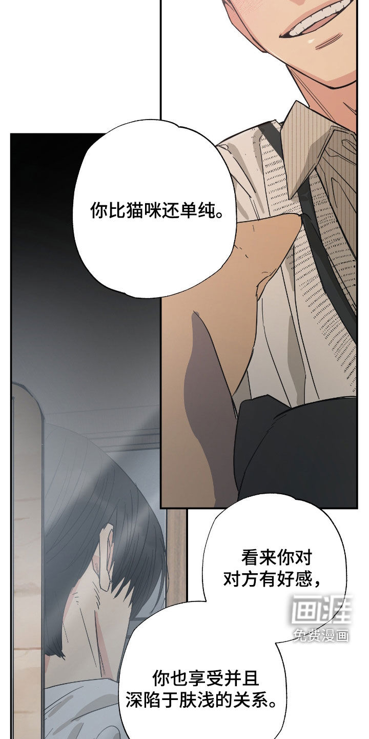 猫大爷和我漫画-图9