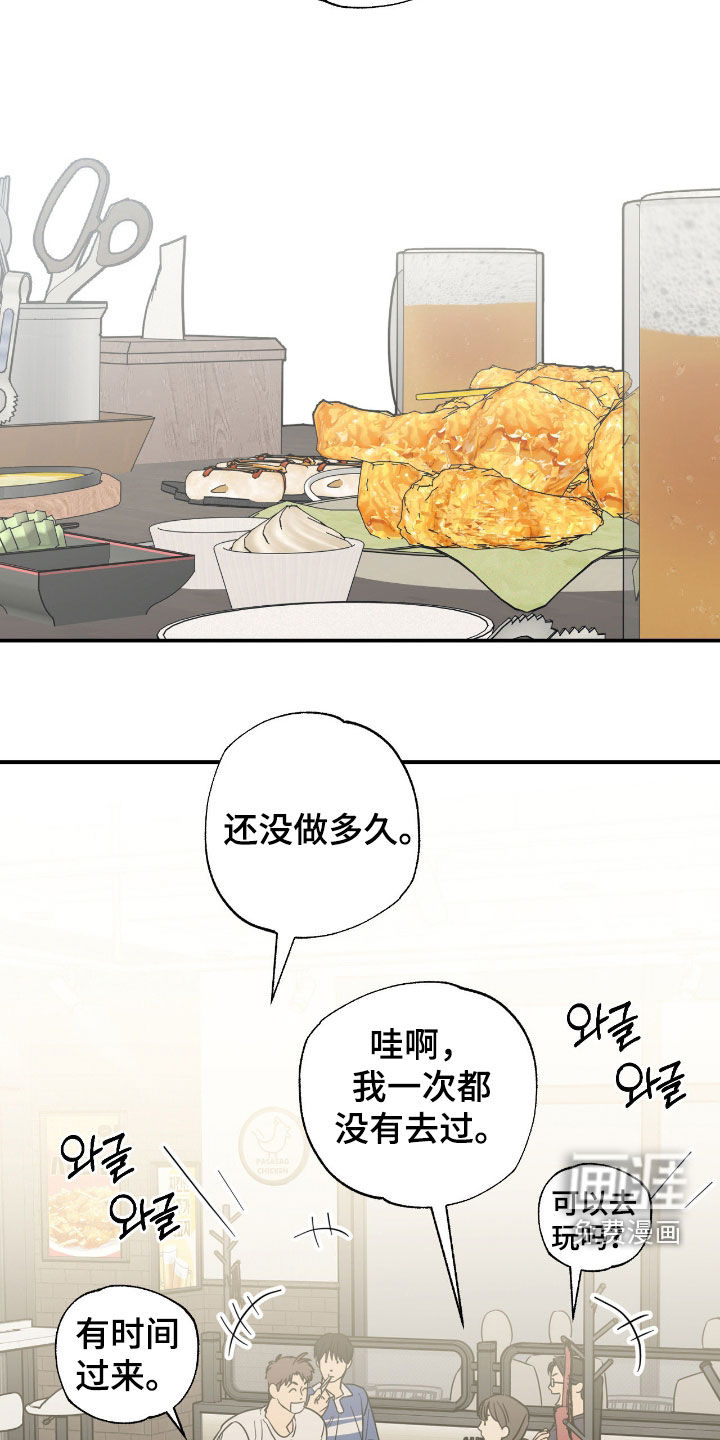 猫大爷和我漫画-图15