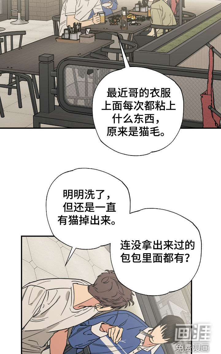 猫大爷和我漫画-图16