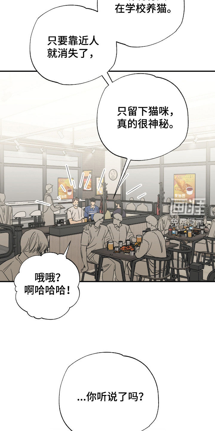 猫大爷和我漫画-图18