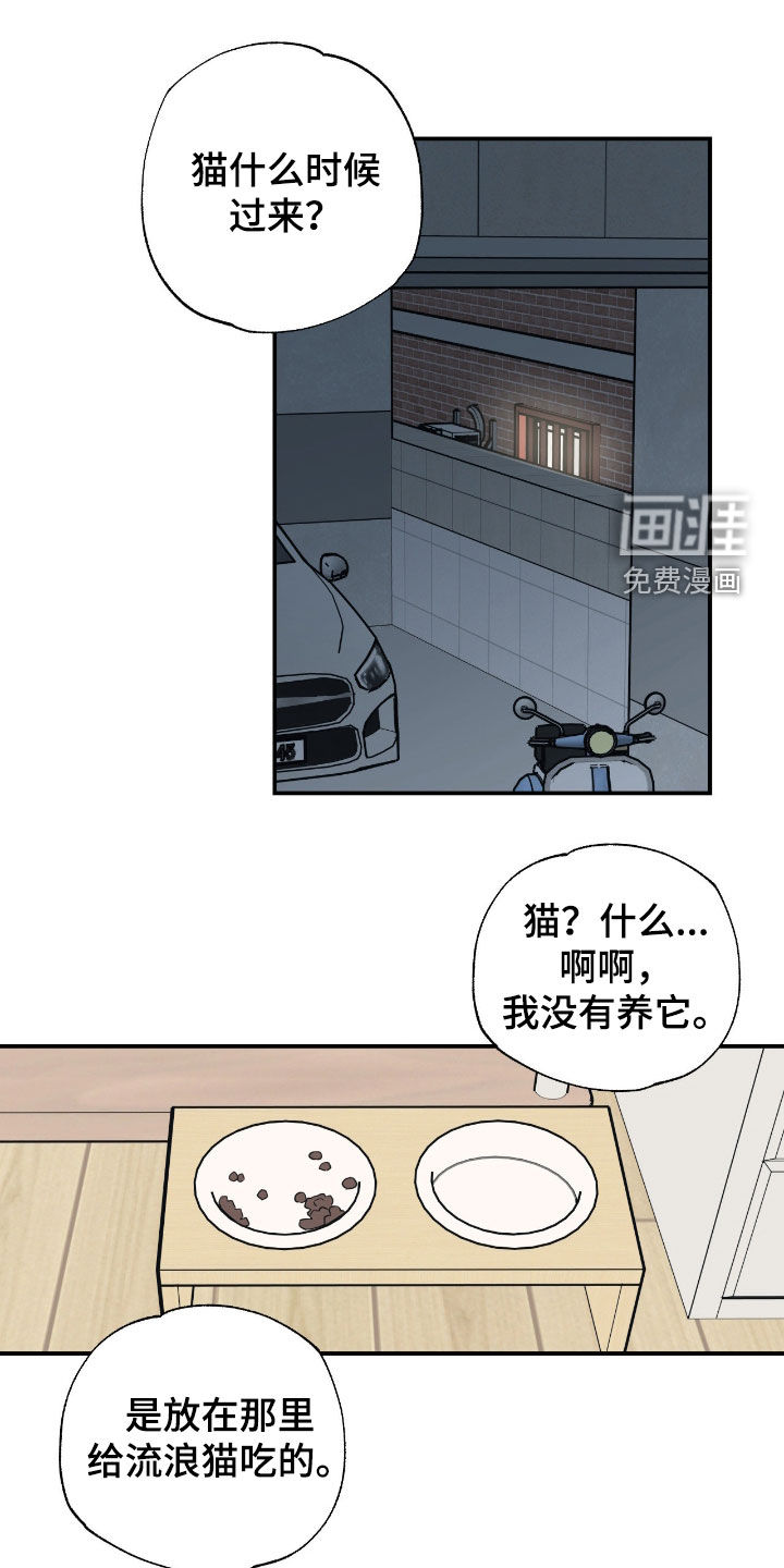 猫大爷和我漫画-图6