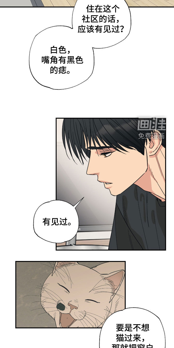 猫大爷和我漫画-图8