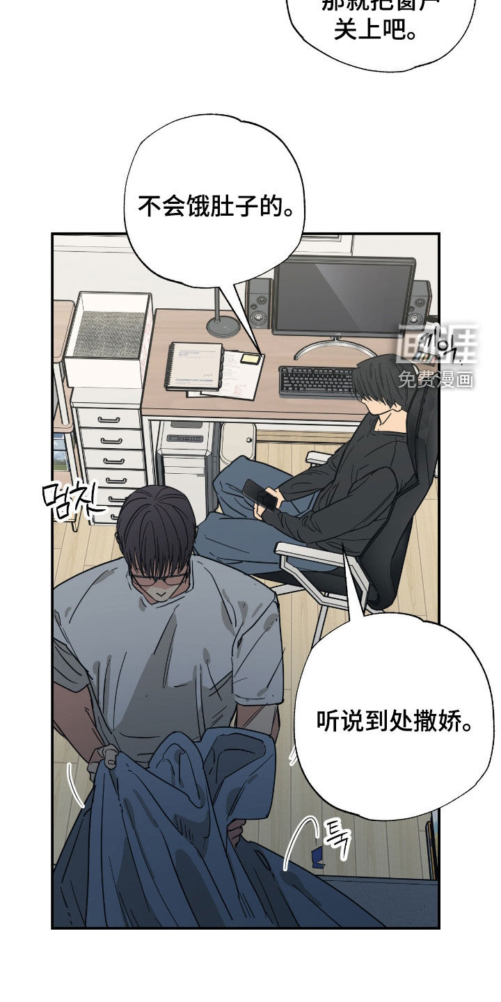 猫大爷和我漫画-图9