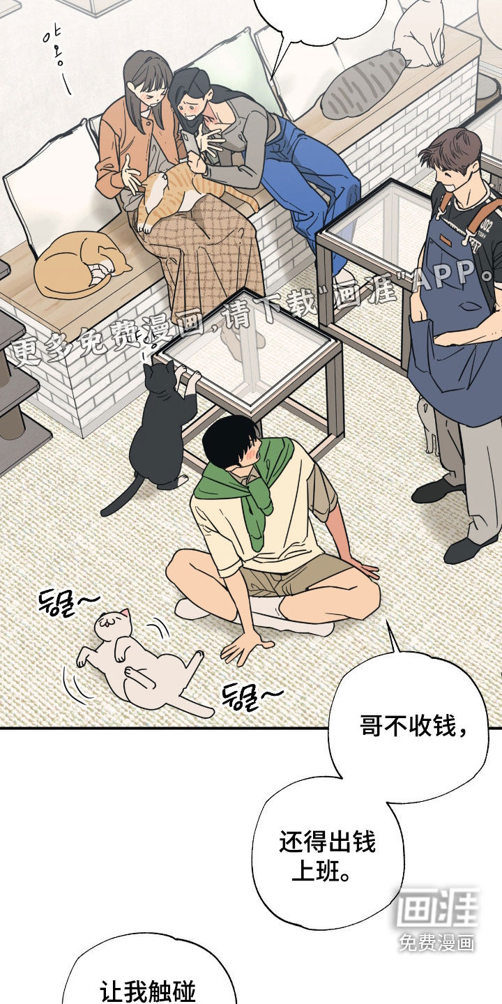 猫大爷和我漫画-图4
