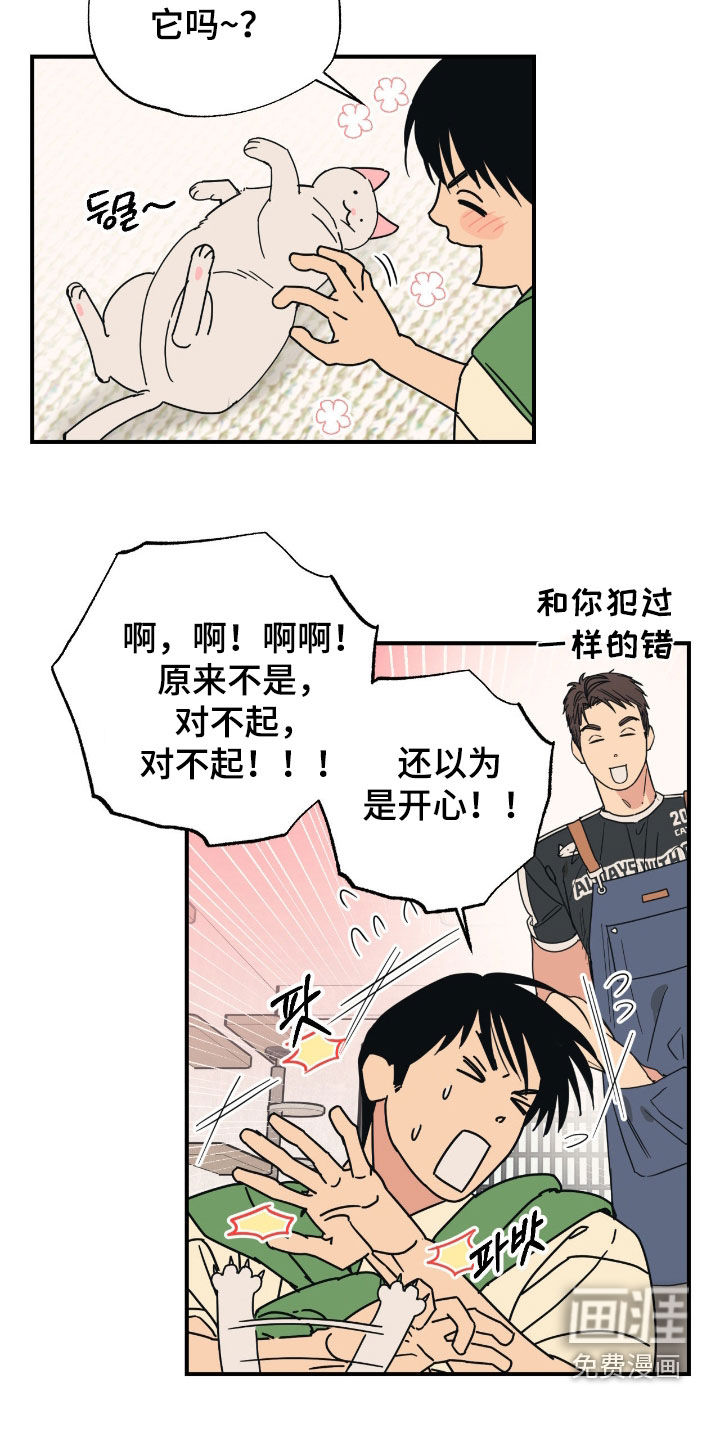 猫大爷和我漫画-图5