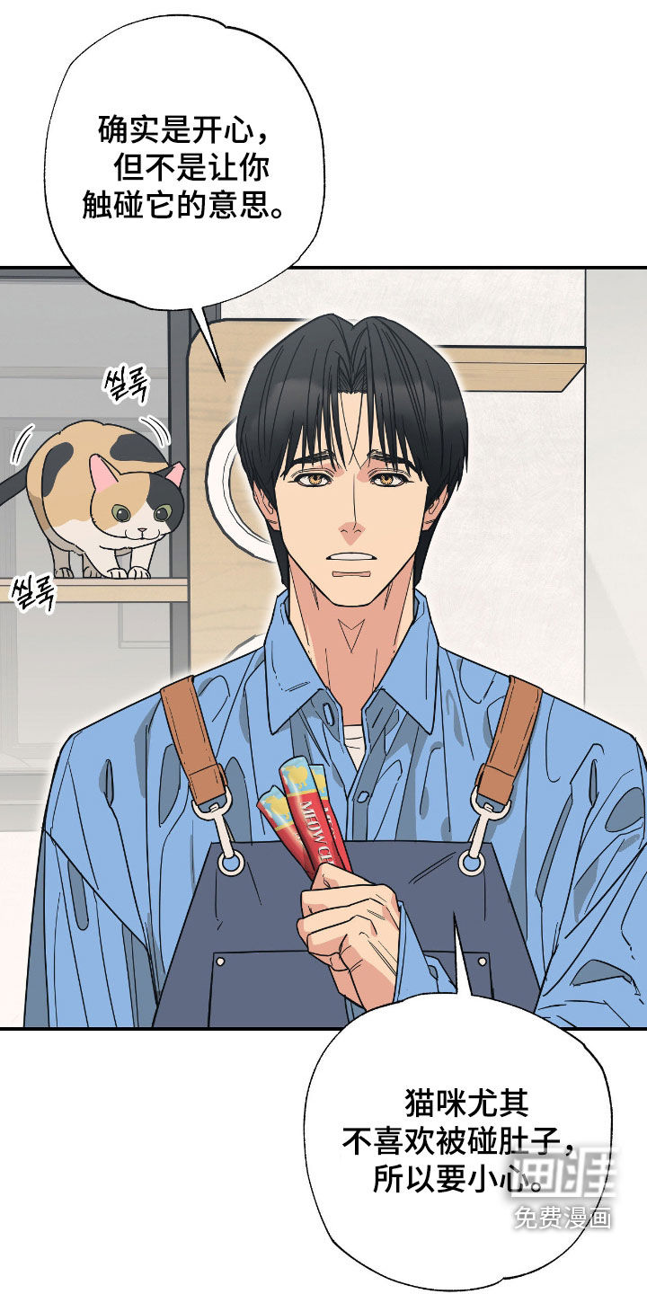 猫大爷和我漫画-图6
