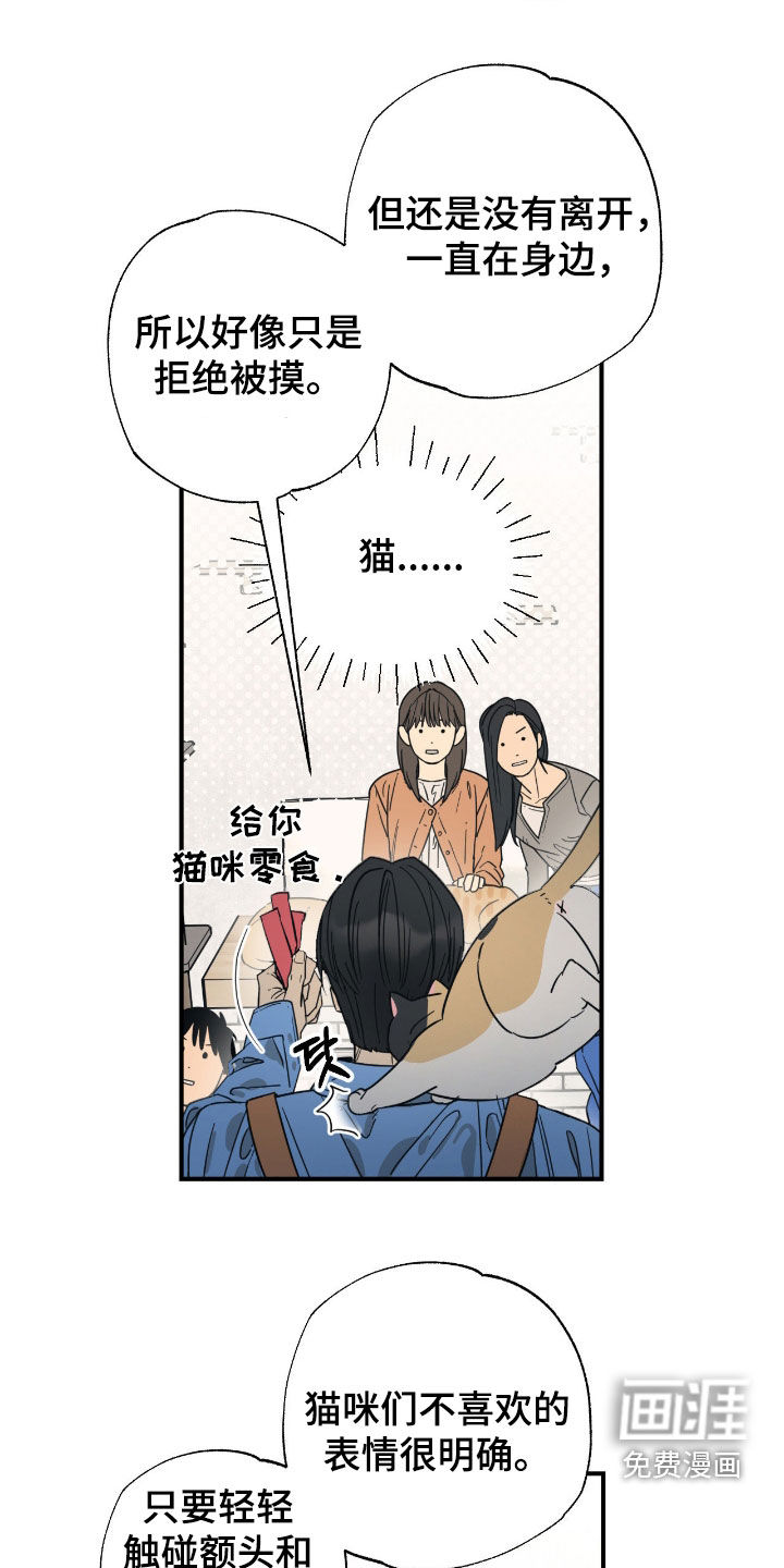 猫大爷和我漫画-图7