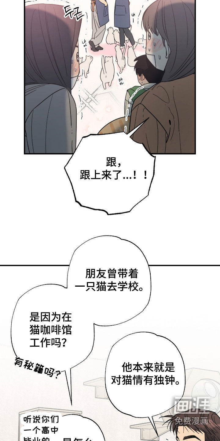 猫大爷和我漫画-图9