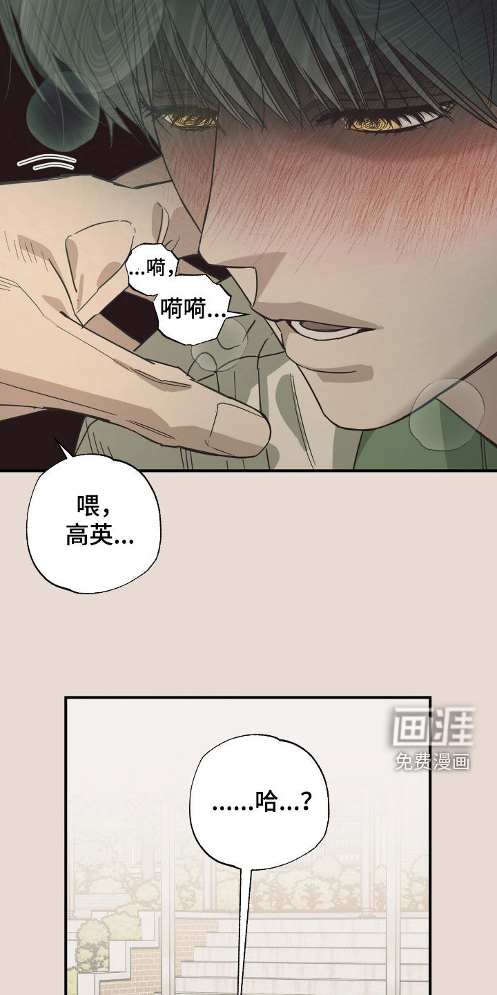 猫大爷和我漫画-图20