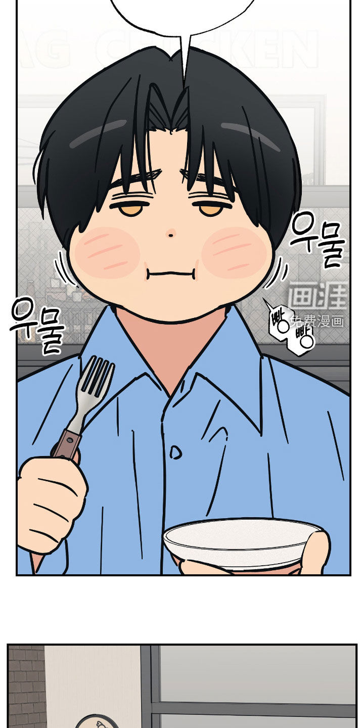 猫大爷和我漫画-图6