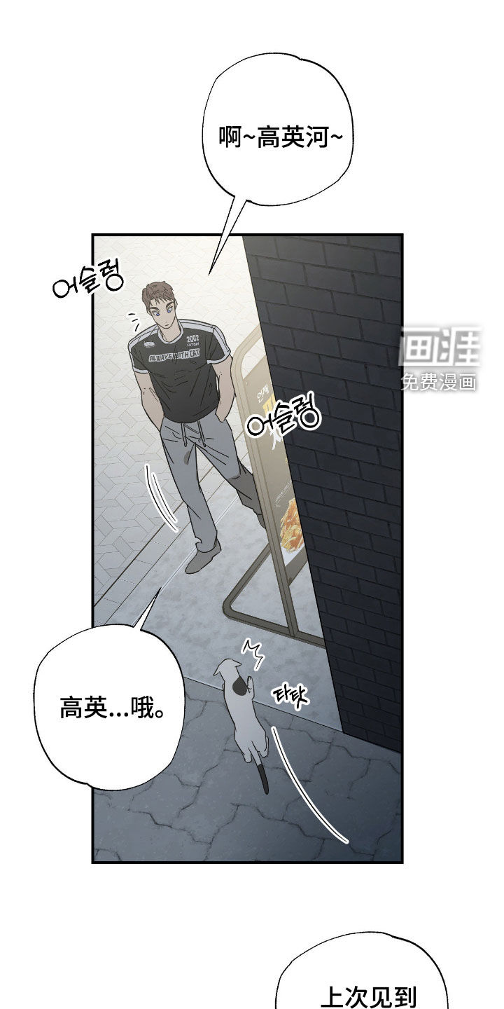 猫大爷和我漫画-图26