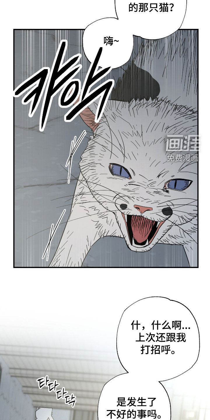 猫大爷和我漫画-图27