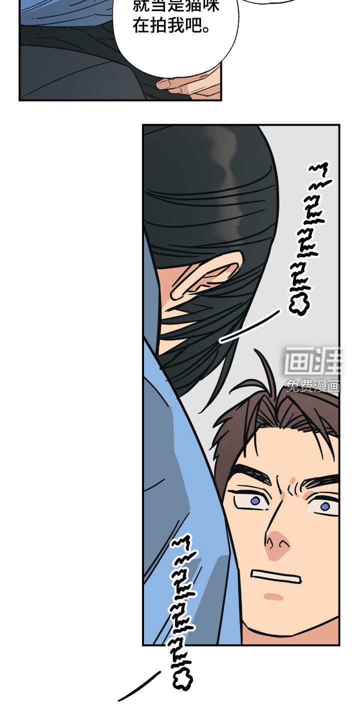 猫大爷和我漫画-图14