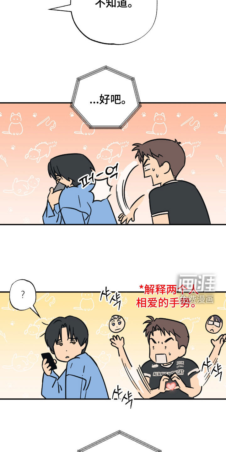 猫大爷和我漫画-图19