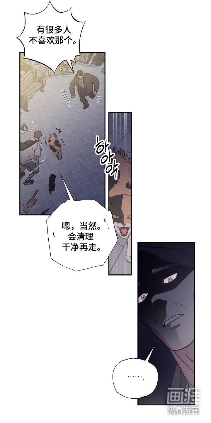 猫大爷和我漫画-图1