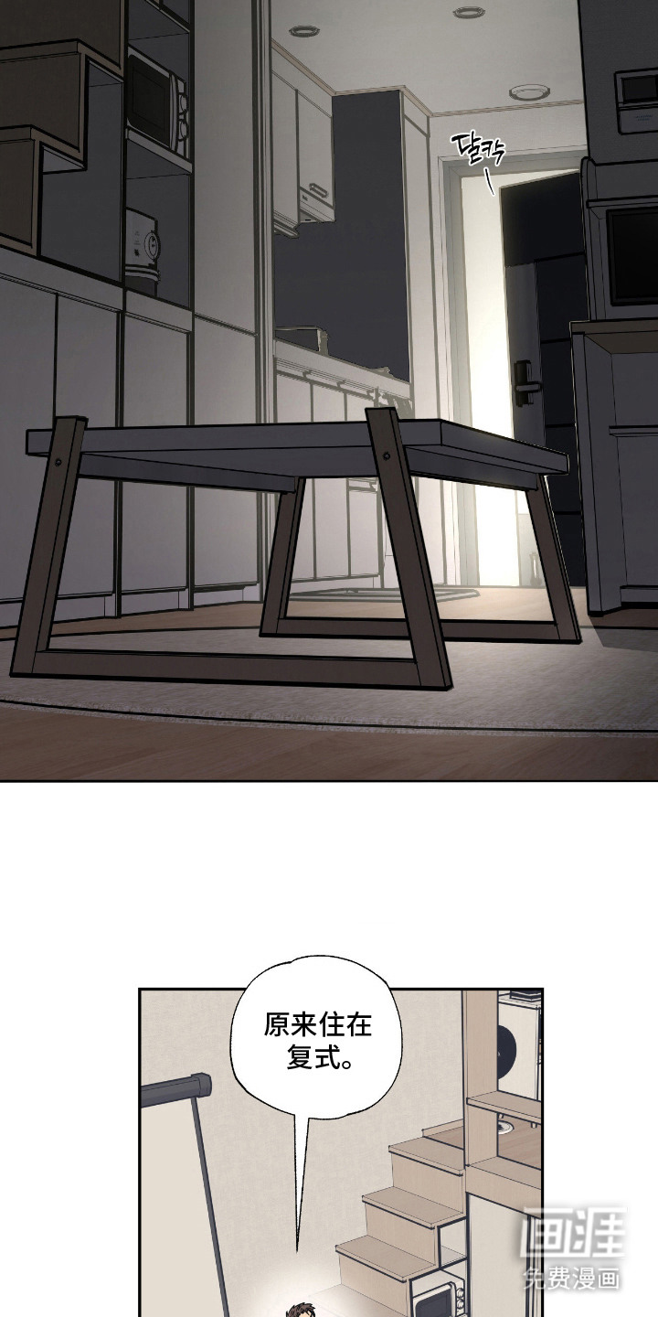 猫大爷和我漫画-图5