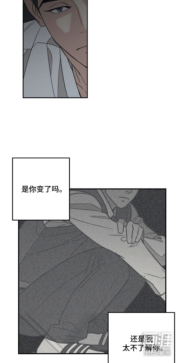 猫大爷和我漫画-图9