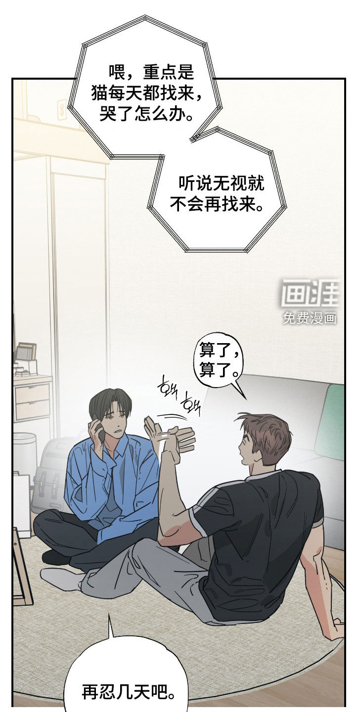猫大爷和我第30话第1页