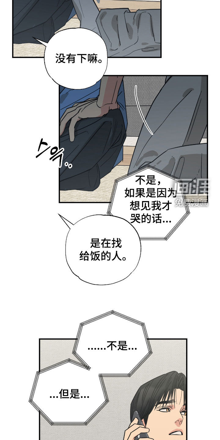 猫大爷和我漫画-图4