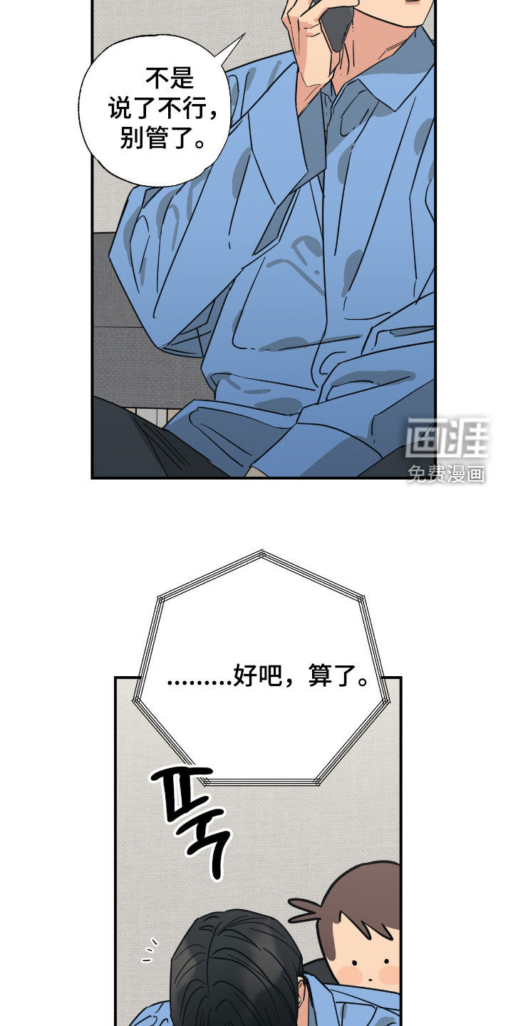 猫大爷和我漫画-图5