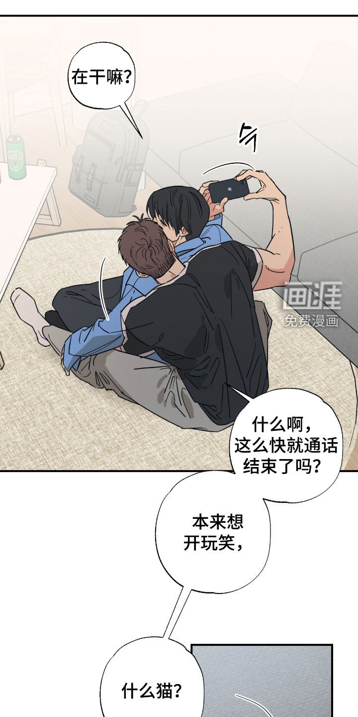 猫大爷和我漫画-图7