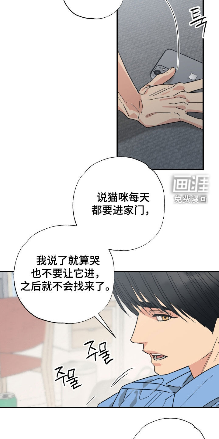猫大爷和我漫画-图8