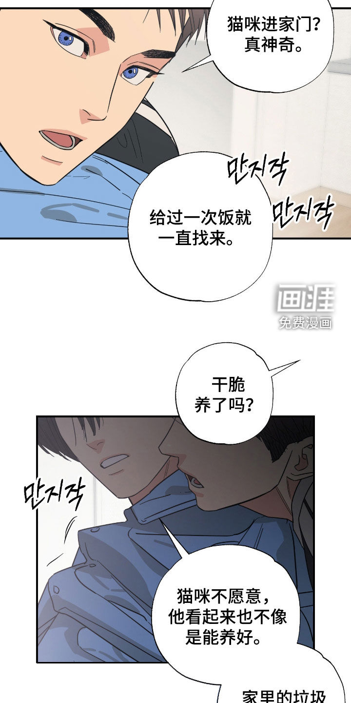 猫大爷和我漫画-图9