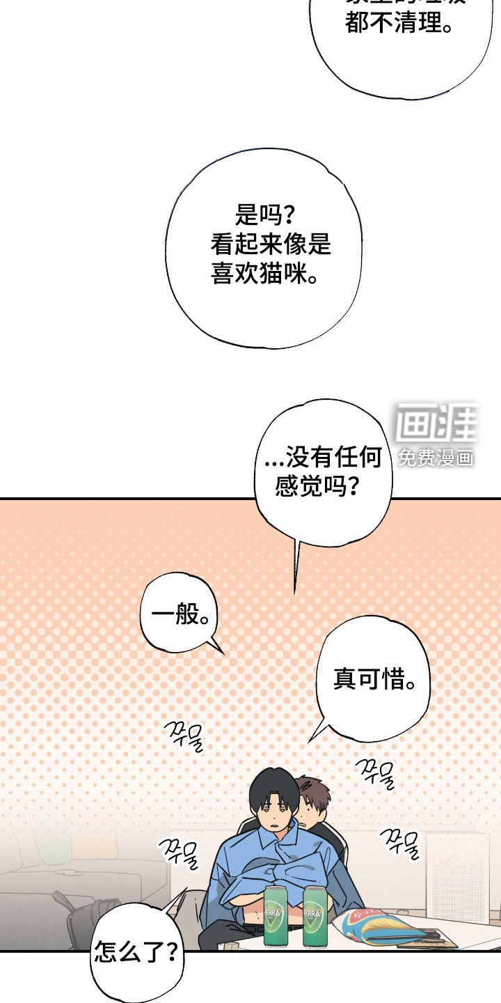 猫大爷和我漫画-图10