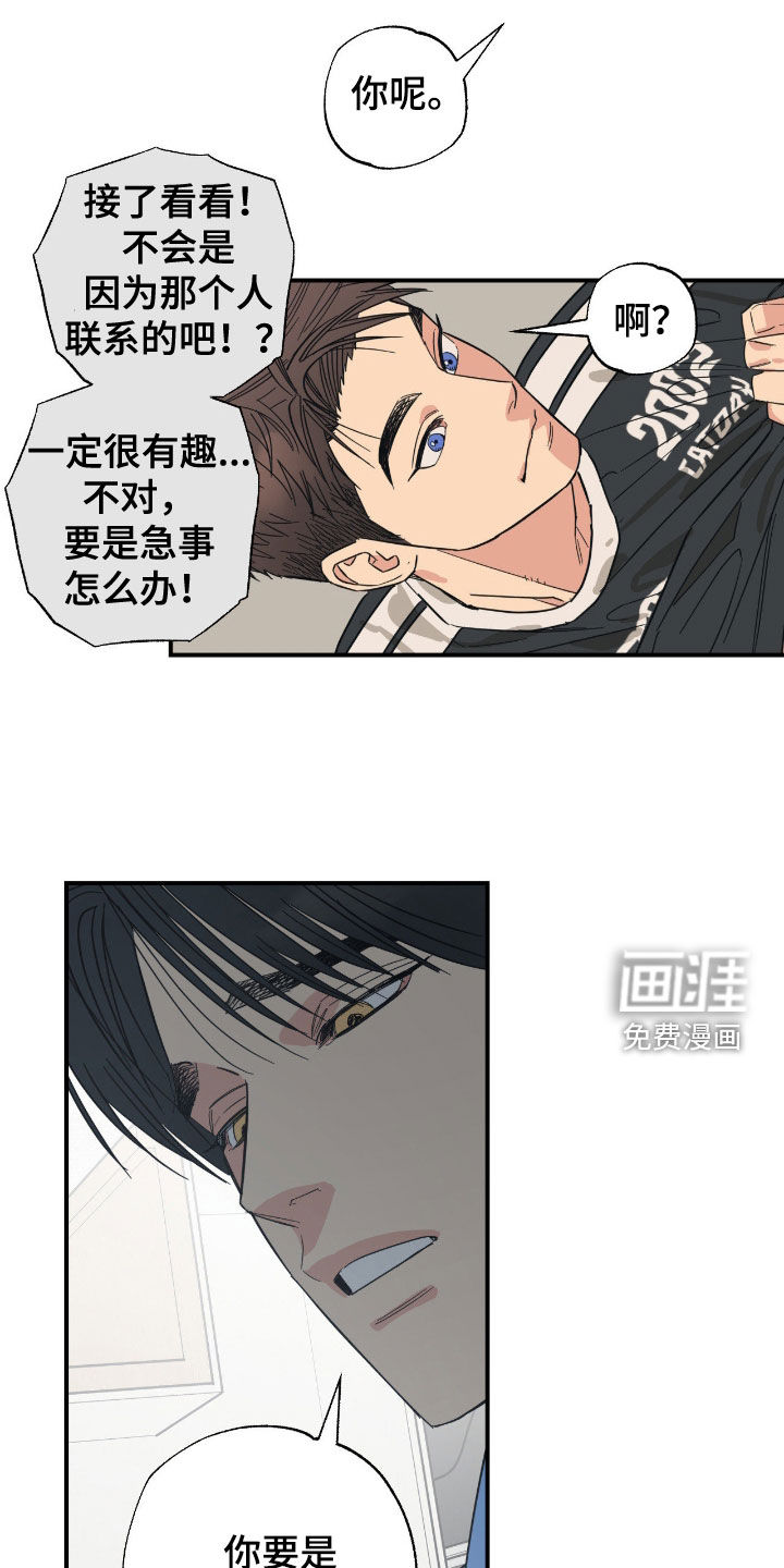 猫大爷和我漫画-图16