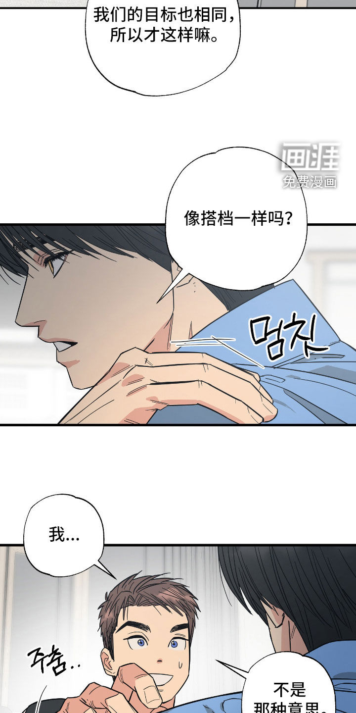 猫大爷和我漫画-图9