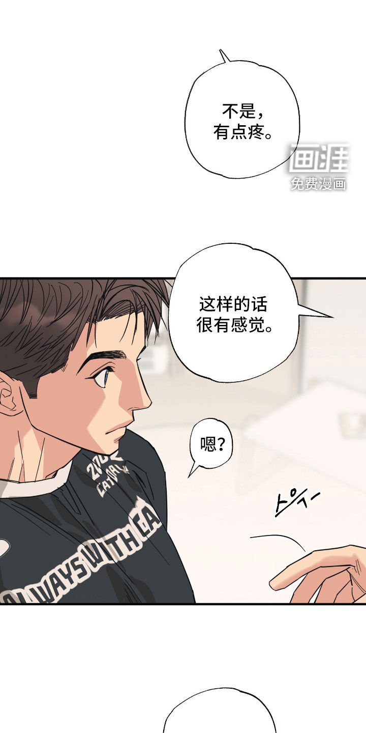猫大爷和我漫画-图15