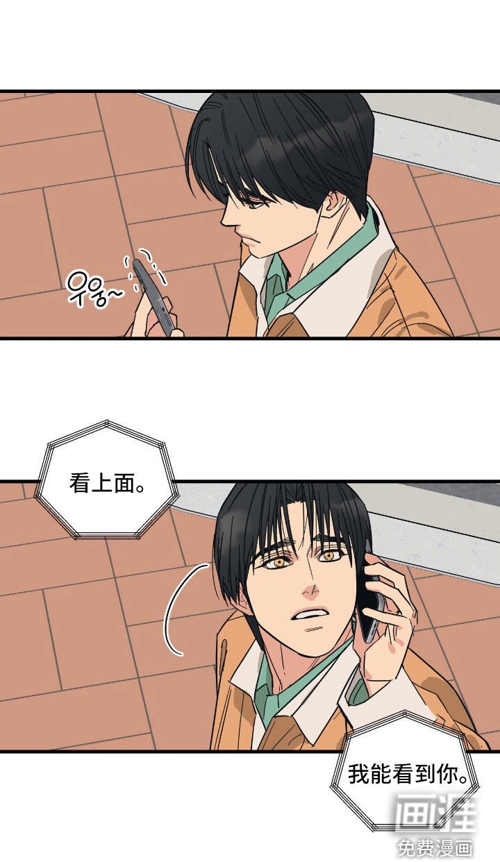 猫大爷和我漫画-图4