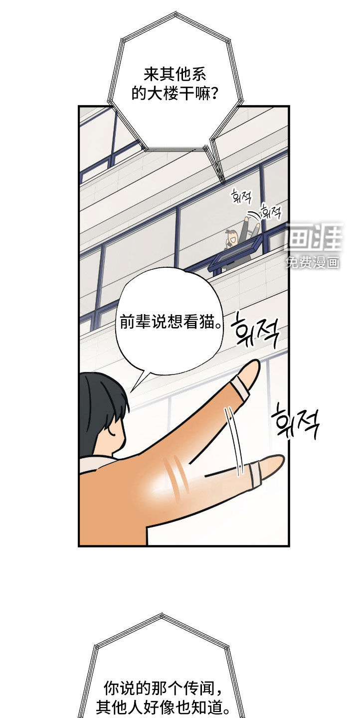 猫大爷和我漫画-图5