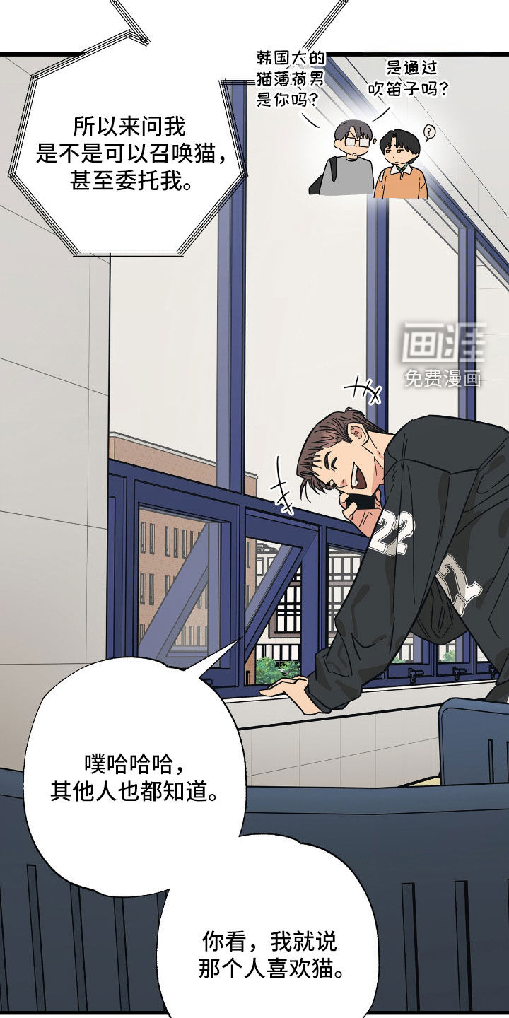 猫大爷和我漫画-图6