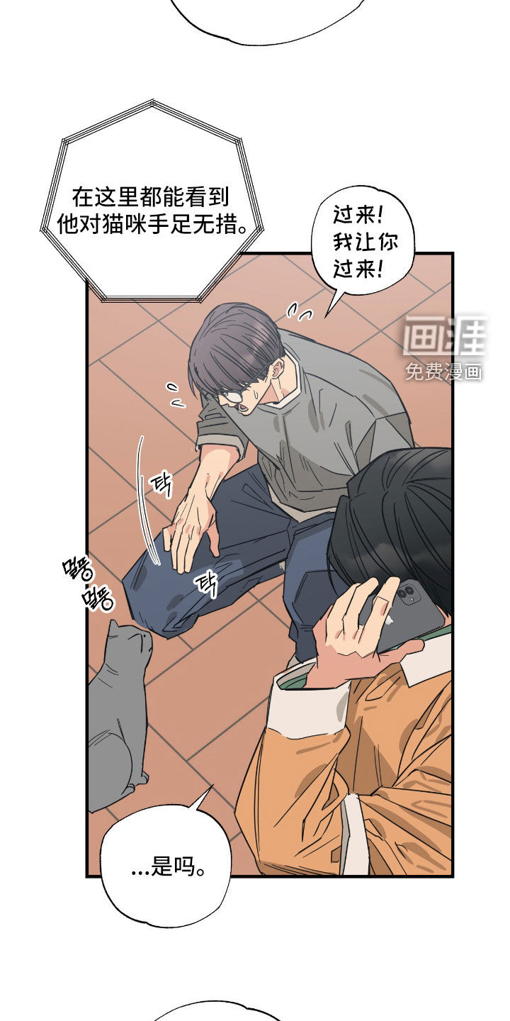 猫大爷和我漫画-图7