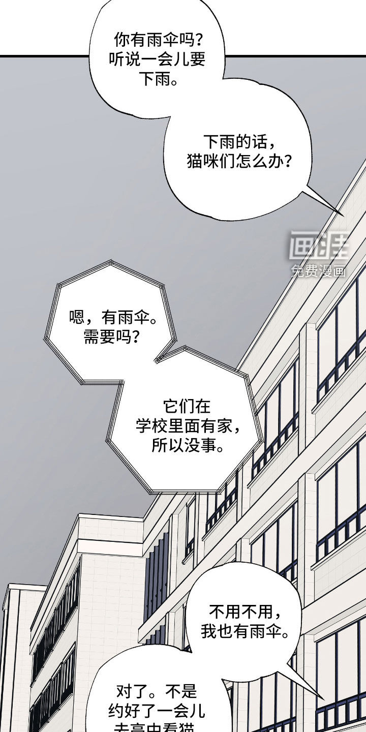 猫大爷和我漫画-图8