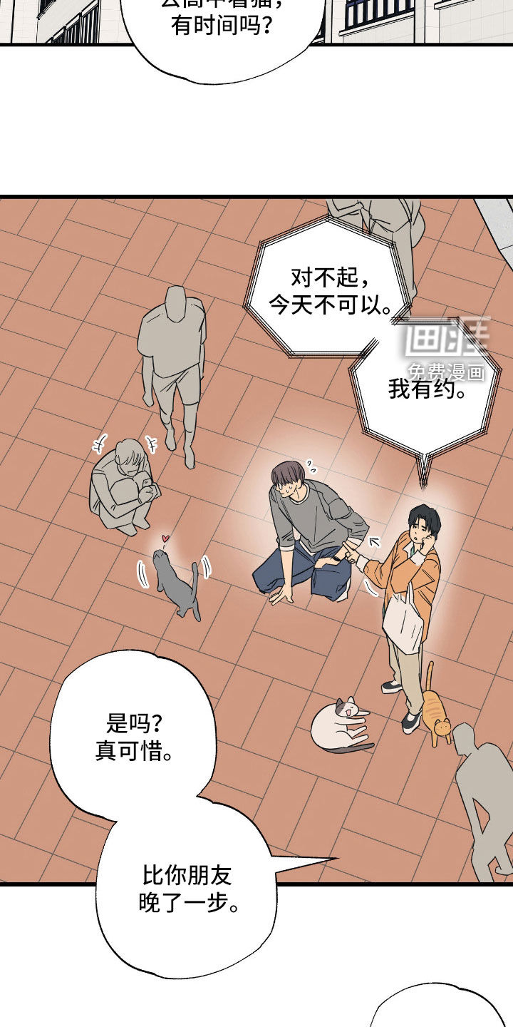 猫大爷和我漫画-图9