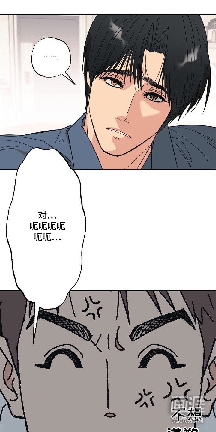 猫大爷和我漫画-图1