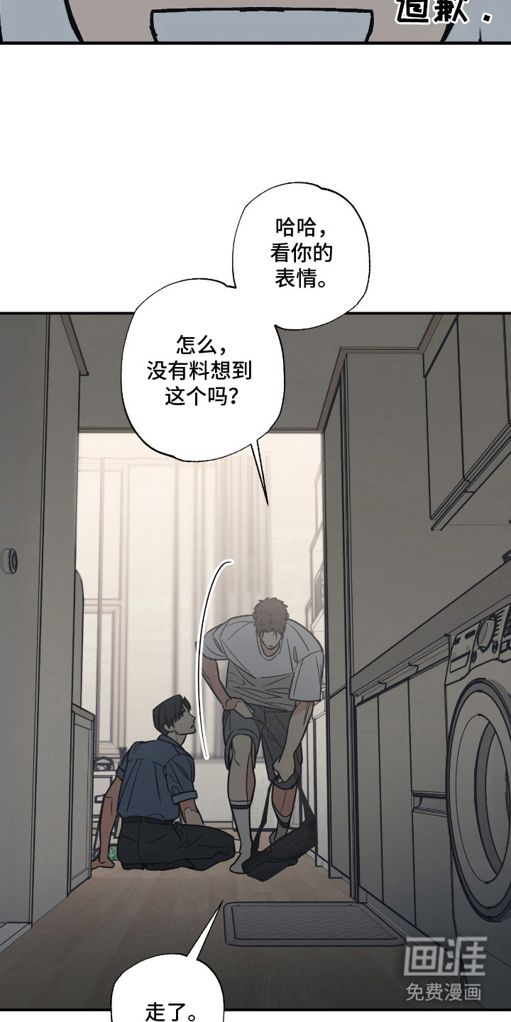 猫大爷和我漫画-图2